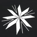 Accel Technologies Spoke Skins