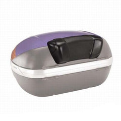 Dosseret Givi pour E52/V46