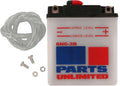 Batterie conventionnelle Parts Unlimited