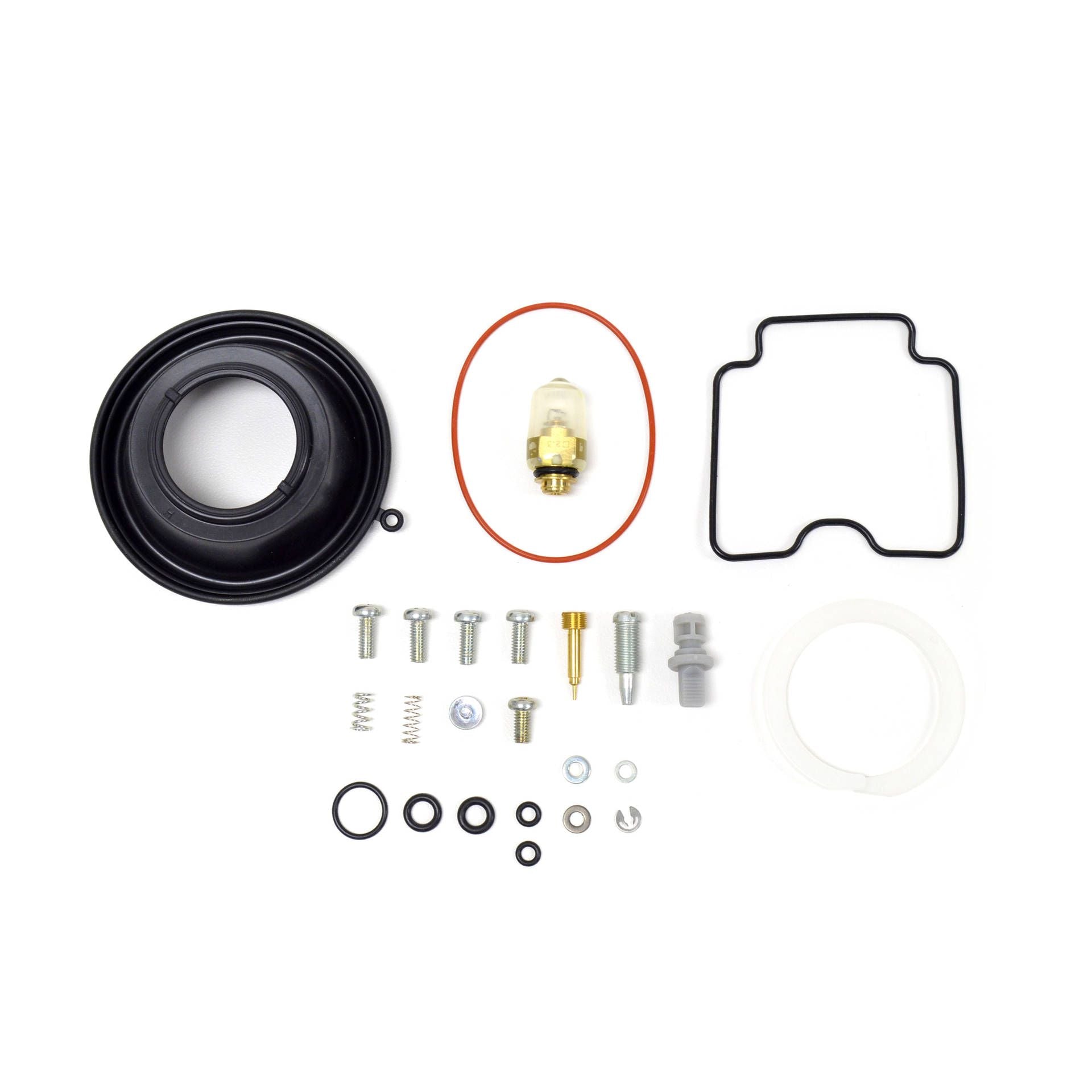 Mikuni Rebuild Kit