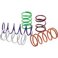EPI Performance Primary Clutch Spring
